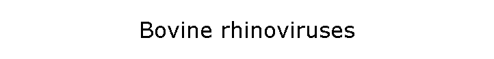 Bovine rhinoviruses