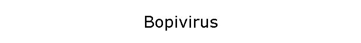 Bopivirus