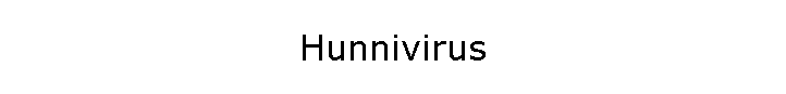 Hunnivirus