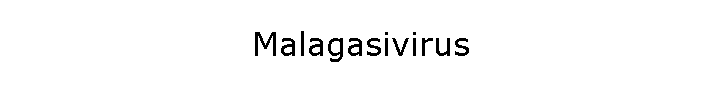 Malagasivirus