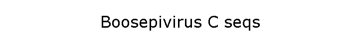 Boosepivirus C seqs