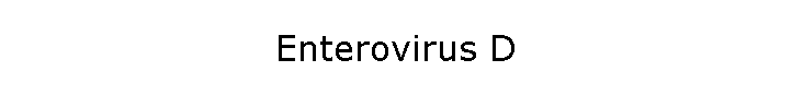 Enterovirus D