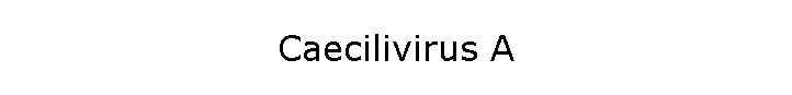 Caecilivirus A