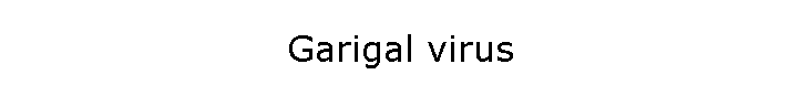 Garigal virus