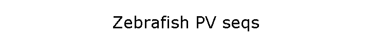 Zebrafish PV seqs