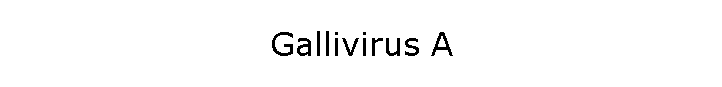 Gallivirus A