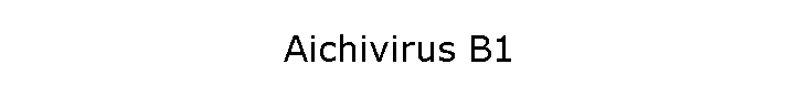 Aichivirus B1
