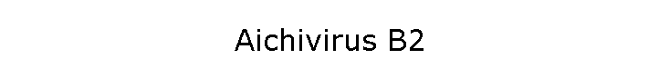 Aichivirus B2