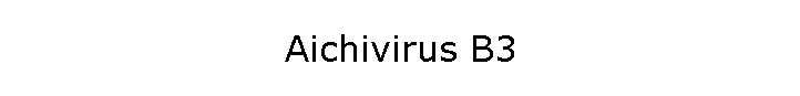 Aichivirus B3