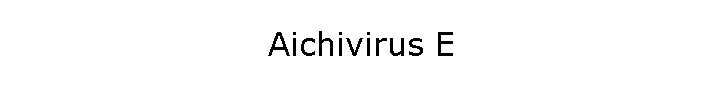 Aichivirus E