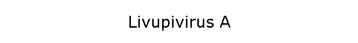 Livupivirus A