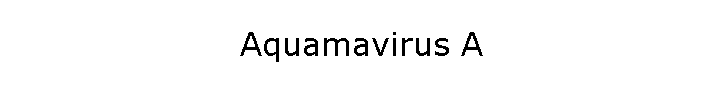 Aquamavirus A