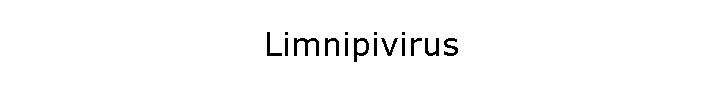 Limnipivirus