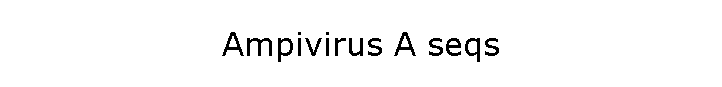 Ampivirus A seqs